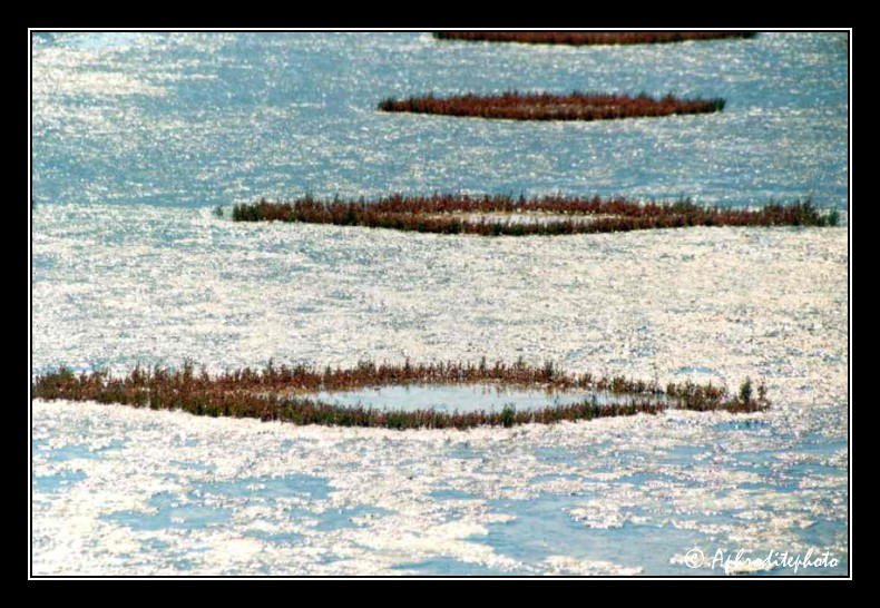 Marais-salants désaffectés